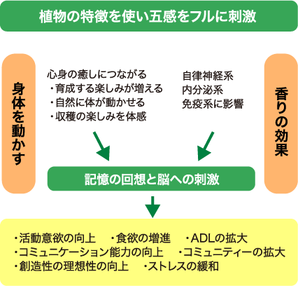 植物パズル療法の効果